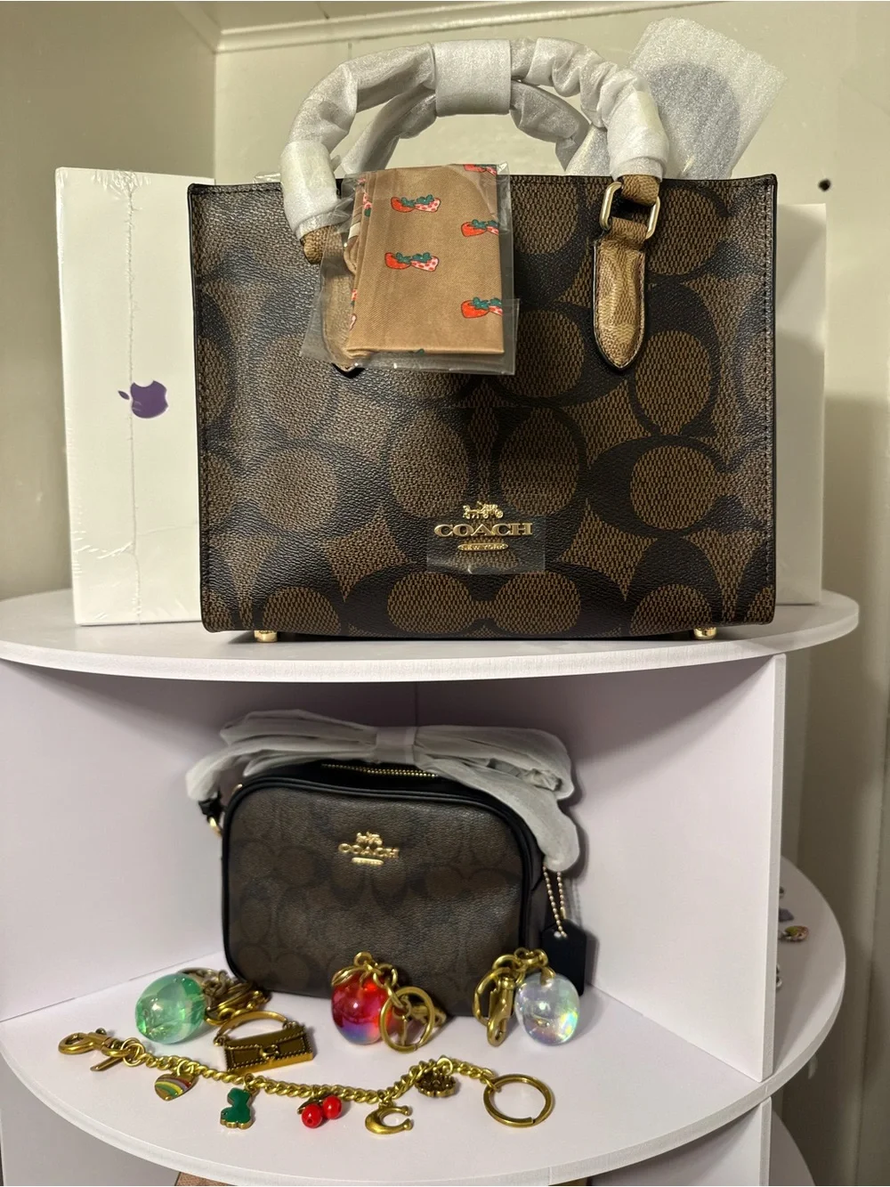 Coach Carey Brown Signature Crossbody